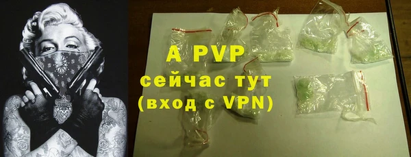 крисы Козловка
