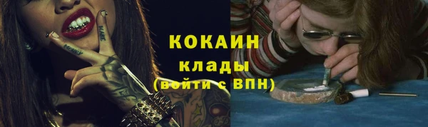 крисы Козловка