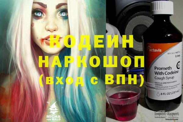 спиды Кодинск