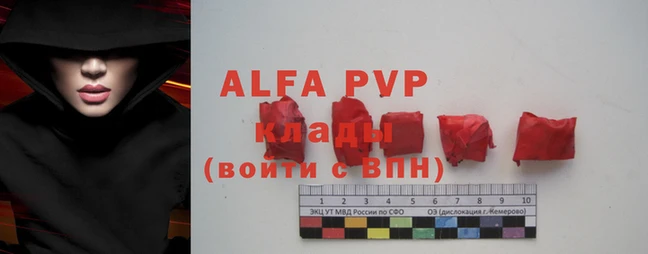 крисы Козловка