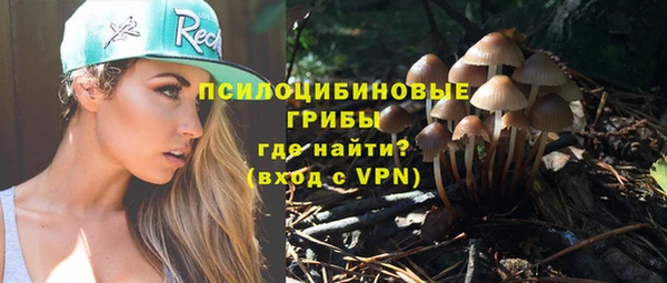прущие крисы Козельск